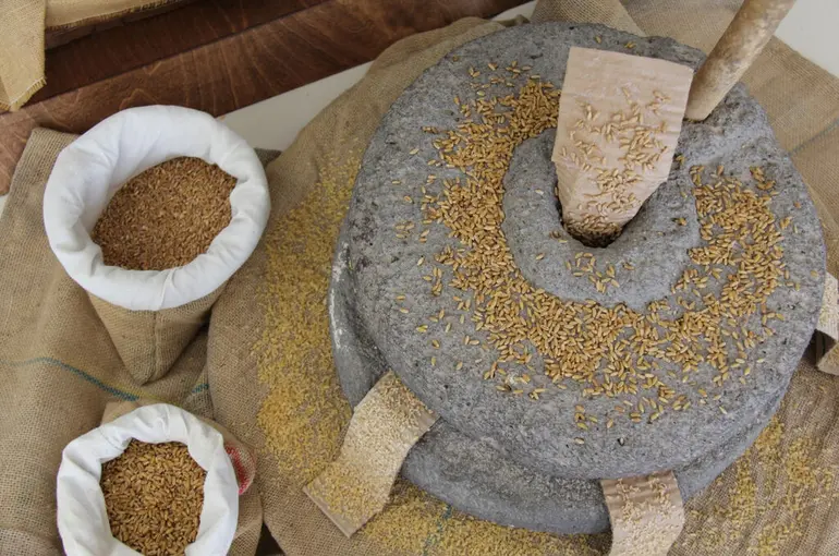 Dünyada Ve Türkiye'de Tek Otoklav Sistemi Torku'da"