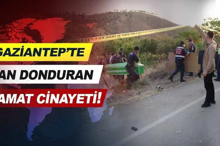  Gaziantep'te kan donduran damat cinayeti!