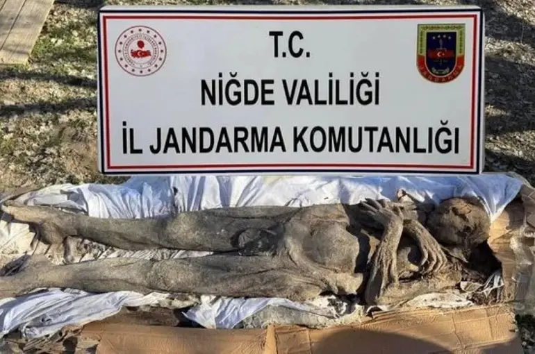 Jandarma'dan Definecilere Profesör Tuzağı! 