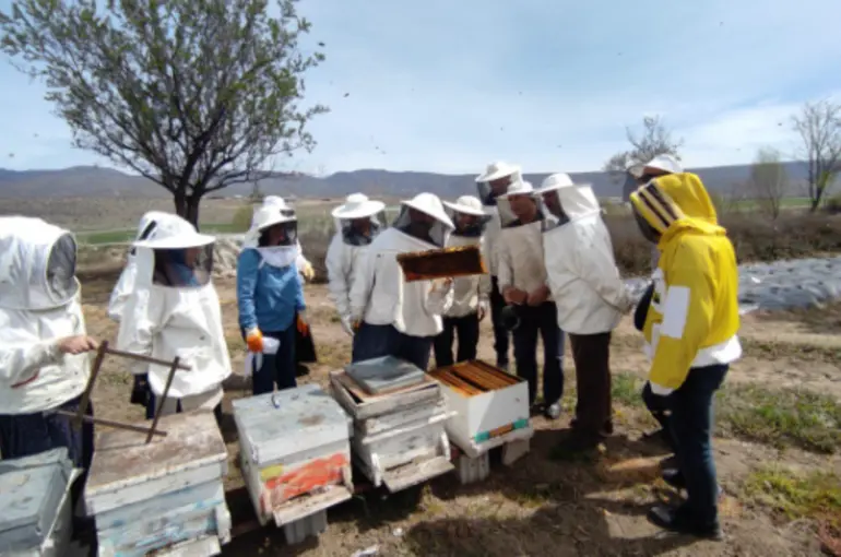 KOMEK Yeni Döneme 93 Bin Kursiyerle Başladı