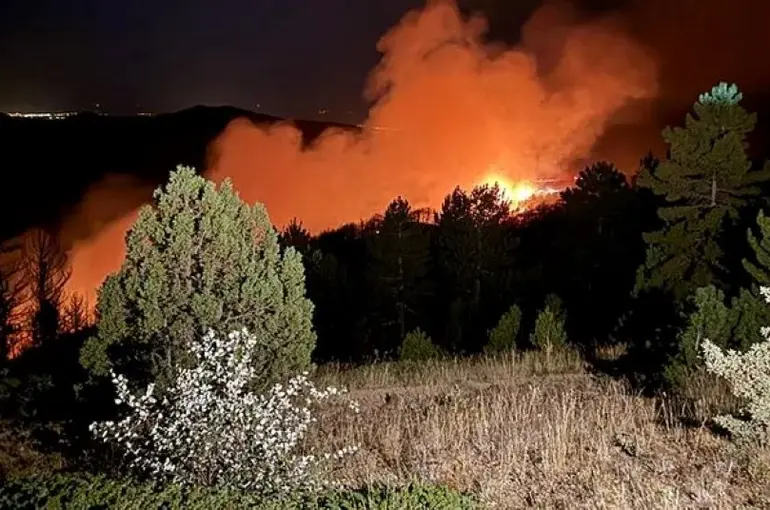 Konya Doğanhisar’da Orman Yangını! Sorumlusu 15 Yaşındaki Bir Çocuk Çıktı!