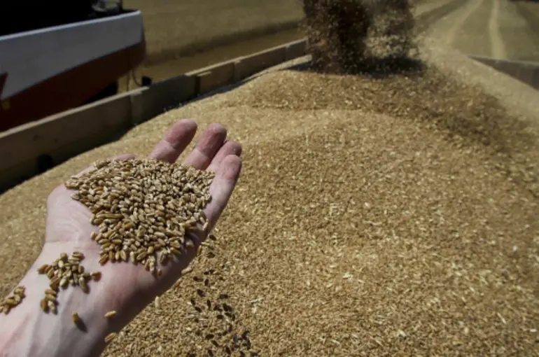 Konya Ticaret Borsası TMO fiyatlarıyla alım yapıyor