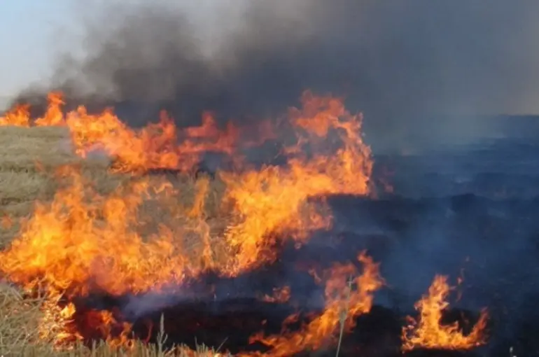 Konya’da anız yakan çiftçiye ceza yağacak