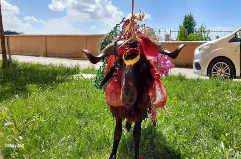 Konya'da Bayram Geleneği Yaşatılıyor! Koçunu Alan Nişanlısının Kapısını Çaldı!