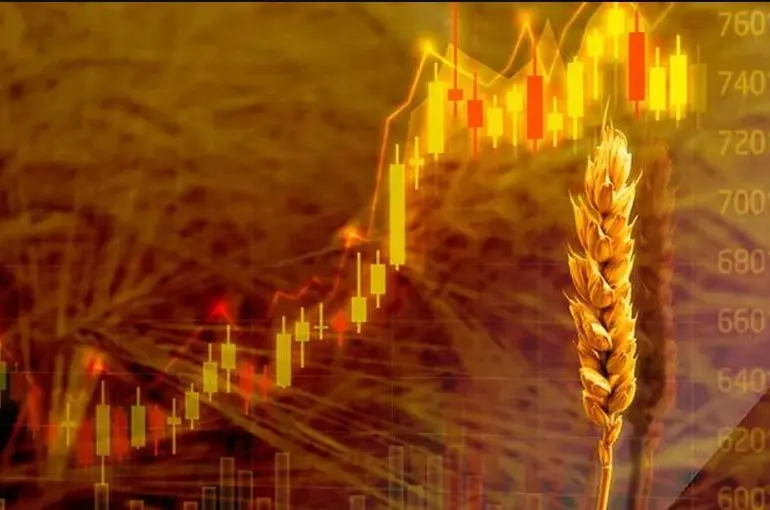 Konya'da buğday ve arpa fiyatlarında son durum