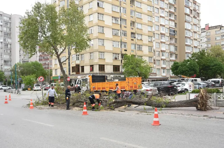 Konya'da meydana gelen fırtınada ağaçlar devrildi!