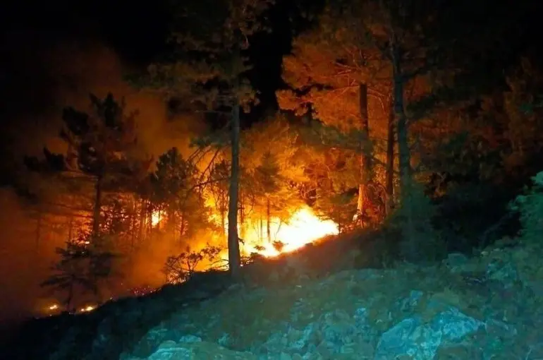 Konya’da ormanlık alanda çıkan yangın kontrol altına alındı