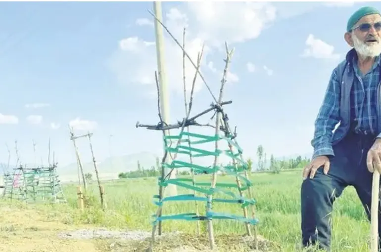 Konyalı Ağaç Dede Binlerce Fidanı Toprakla Buluşturdu!