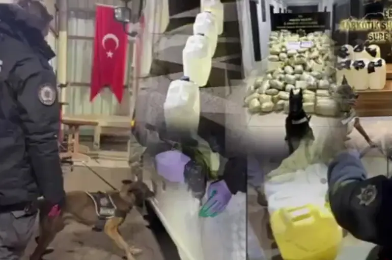 Mersin ve Erzurum’da Uyuşturucuya Geçit Verilmedi: 447,5 Kilo Uyuşturucu Ele Geçirildi