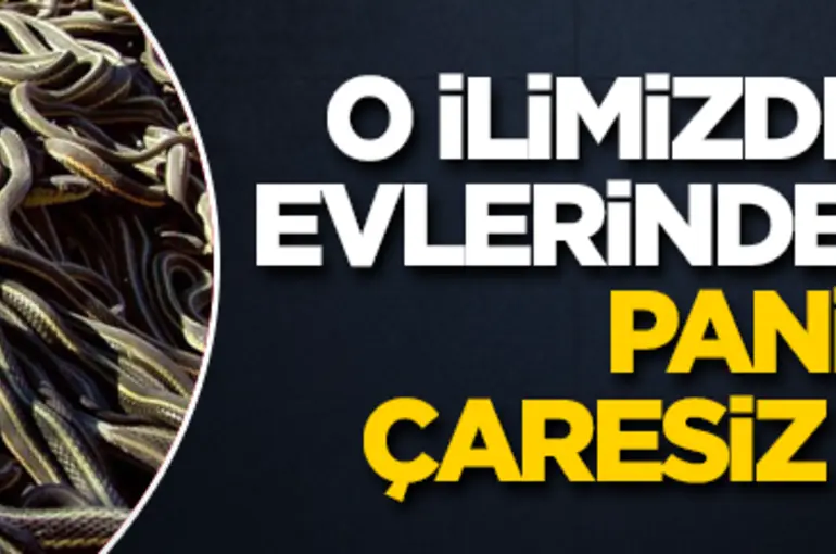 O ilimizde bir anda evlerinde buldular! Panikten çaresiz kaldılar