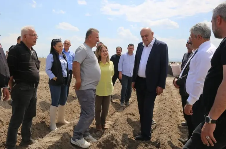 Patateste Yerli Tohum Hamlesi: Başkan Erkoyuncu Ekim Alanında İncelemelerde Bulundu