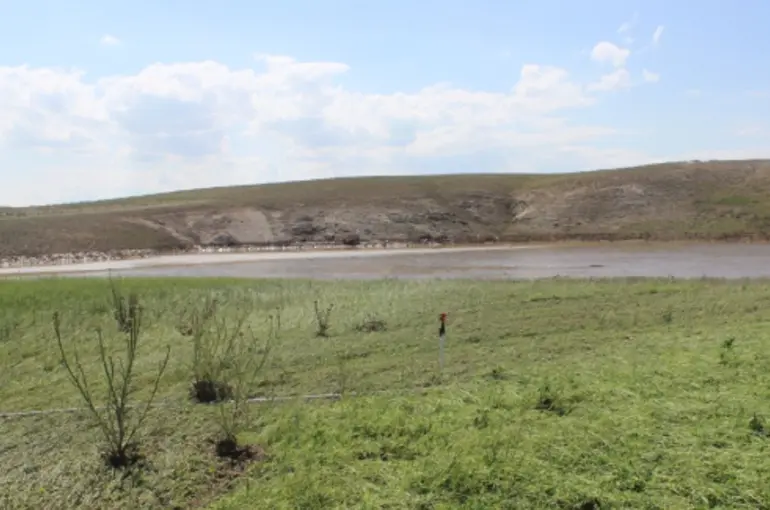 Sağanak Yağışlar Bazı Tarım Arazilerini Vurdu