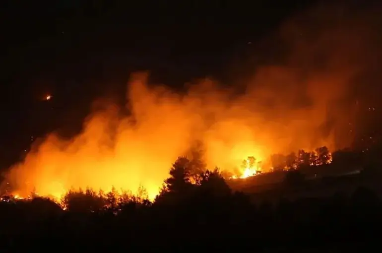 Türkiye Orman Şehitlerine Ağlıyor!