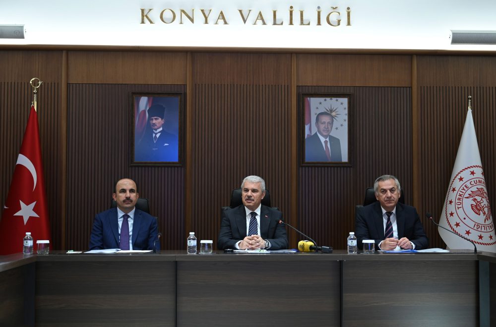 vliiiii.jpg