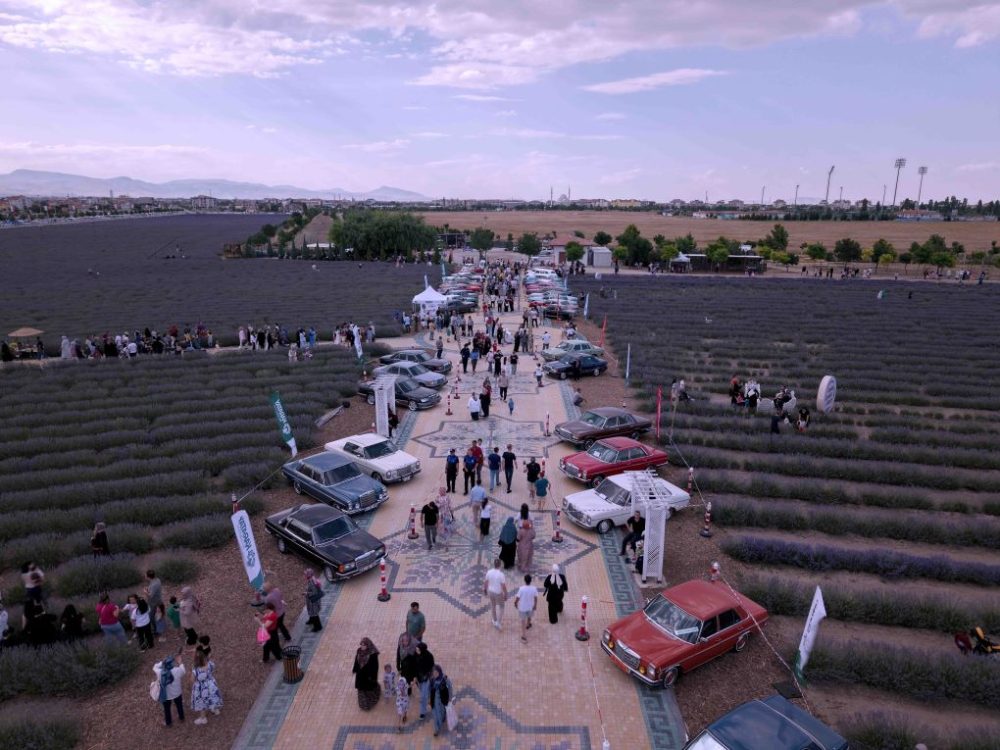 TÜRKİYE'NİN EN BÜYÜK LAVANTA BAHÇESİ'NDE FESTİVAL HEYECANI (2).jpg