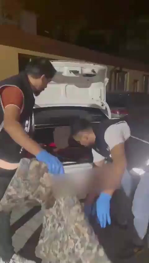 Asayiş denetim
